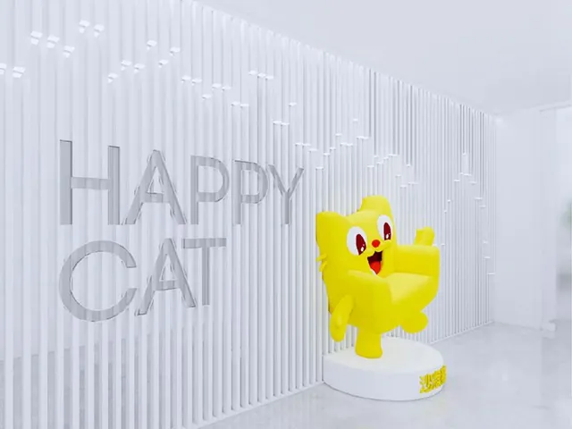沙发猫办公空间