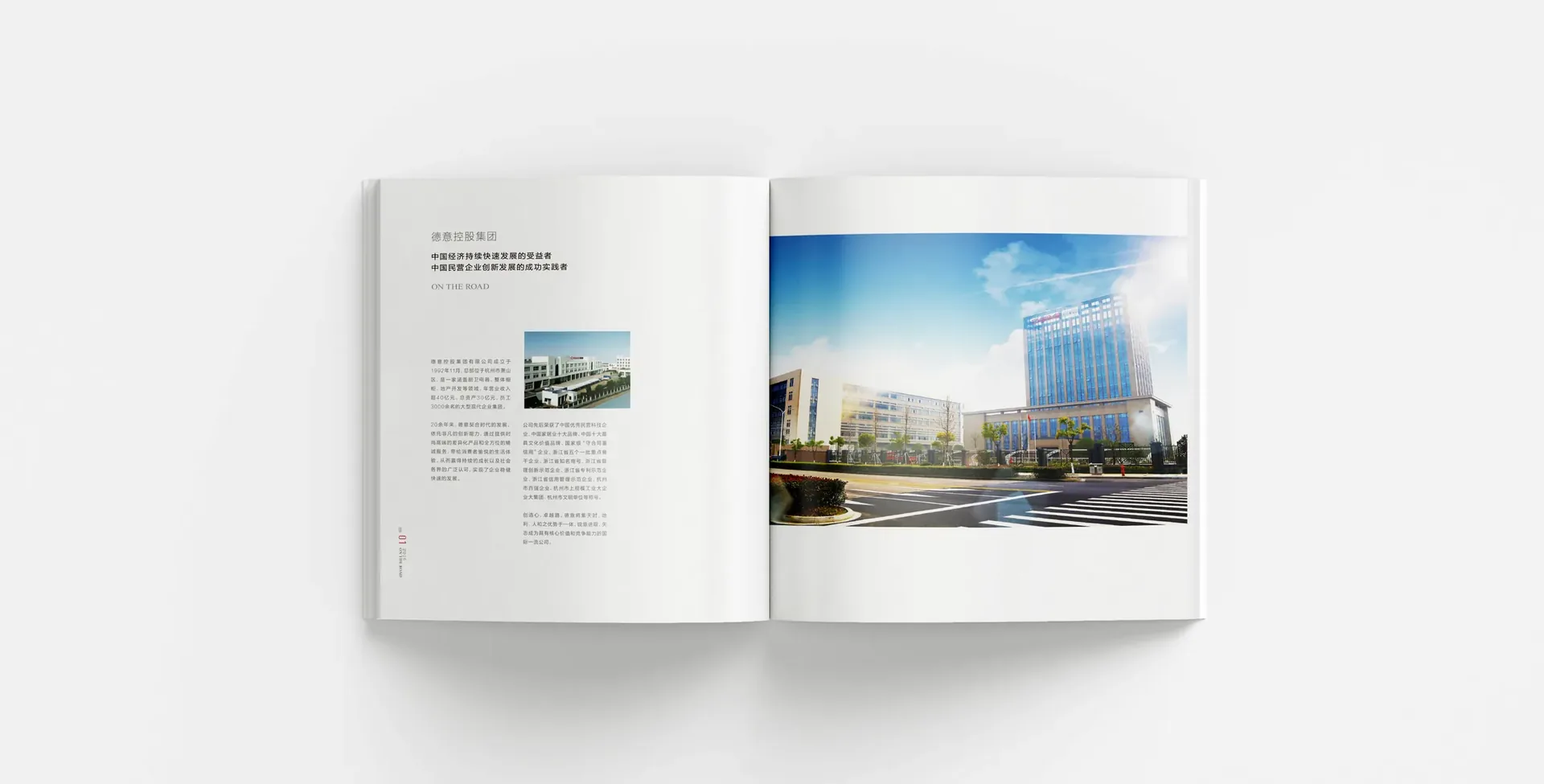 德意集团年度画册封面与内页,设计效果图