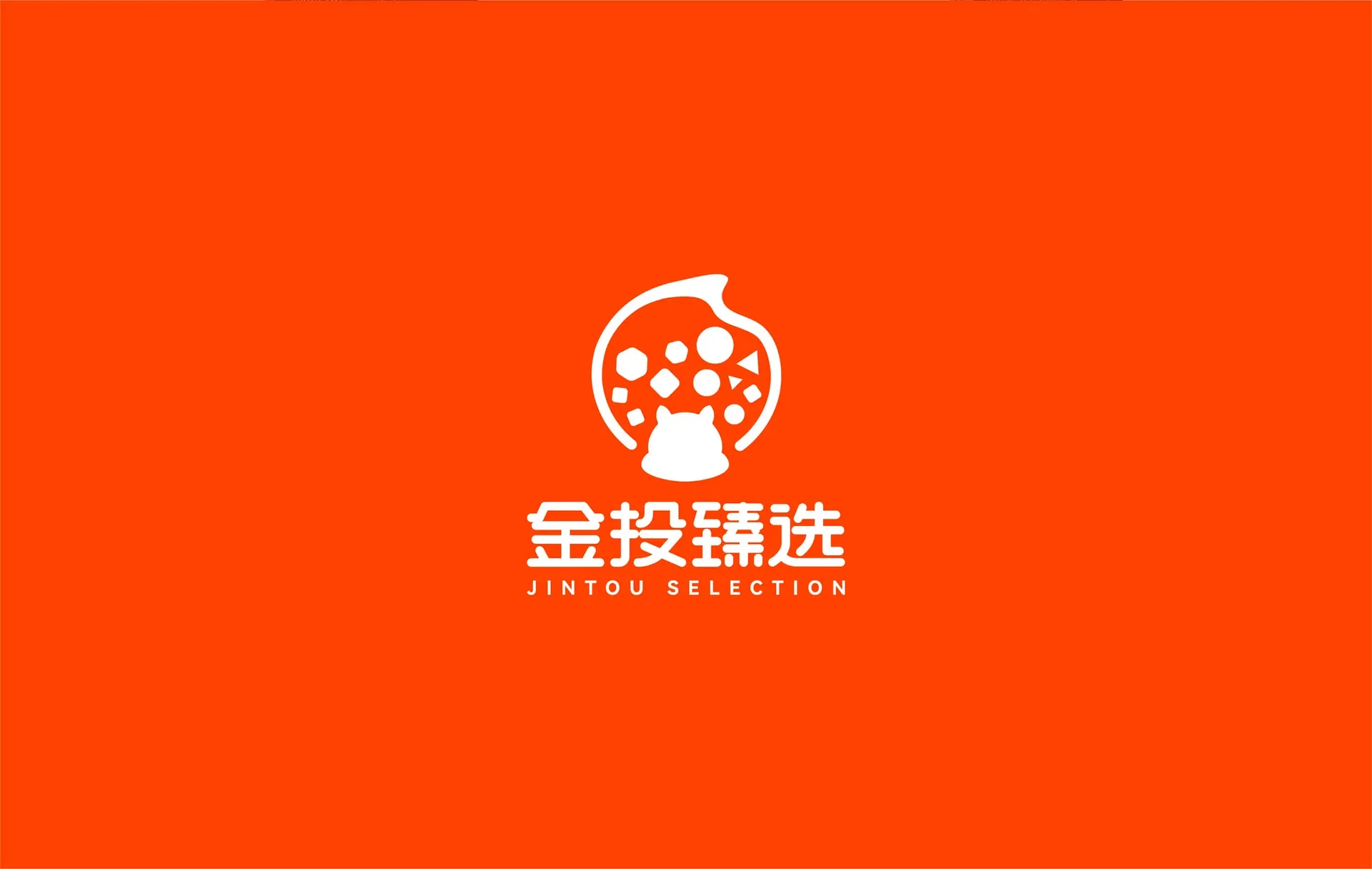臻选商城品牌标志与识别,设计效果图